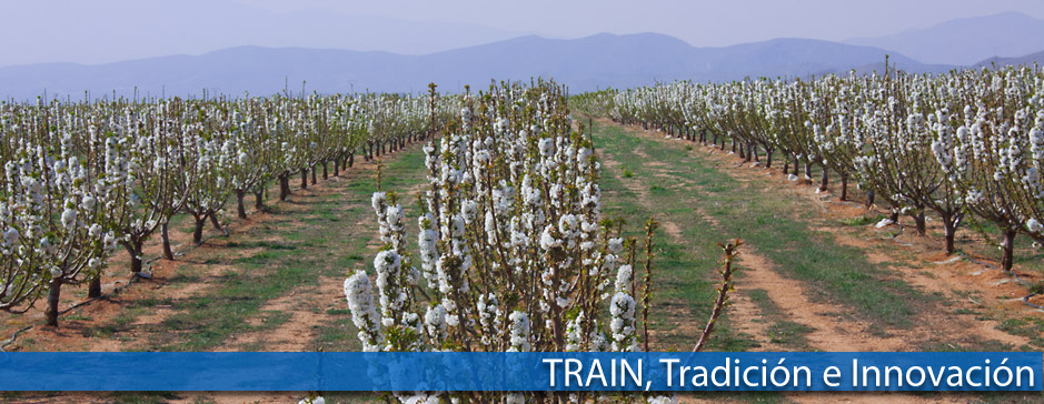 Frutas Train