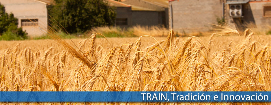 Frutas Train