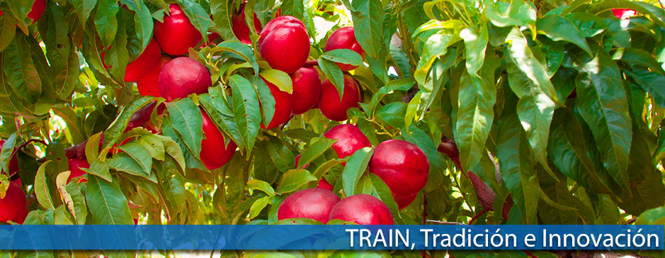 Frutas Train