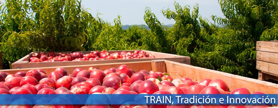 Frutas Train